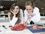 Inderst inde. Børn og voksne får lov til at komme helt tæt på diverse dyr på Experimentarium, når der dissekeres kadavere og nærstuderes organer. Her finder to piger ud af, hvordan en luge reelt set fungerer, når den fyldes op og tømmes for luft. 