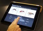 Dominans. Apple prøver at sætte sig på markedet for fag- og lærebøger med sit nye koncept for bøger til iPad - og mange spår, at det vil lykkes på det amerikanske marked. 