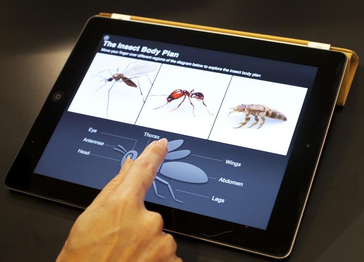 Dominans. Apple prøver at sætte sig på markedet for fag- og lærebøger med sit nye koncept for bøger til iPad - og mange spår, at det vil lykkes på det amerikanske marked. 