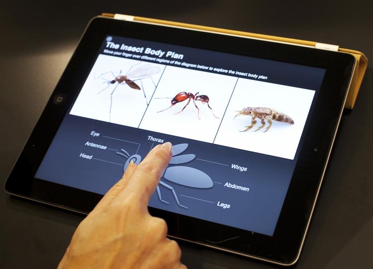 OUTDATED. iPad 2 bliver snart udskiftet af Apple til fordel for en nye version iPad3 