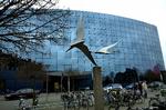 Sundhed. Odense Universitetshospital (OUH) afviser, at en overlæge har afvist at operere en kvinde, fordi hun var »svagt retarderet«. 