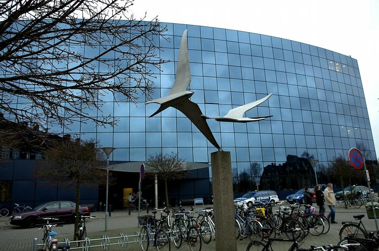 Sundhed. Odense Universitetshospital (OUH) afviser, at en overlæge har afvist at operere en kvinde, fordi hun var »svagt retarderet«. 