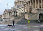 Terror. Sikkerheden er forhøjet med bombehunde på Capitol Hill I Washington efter anholdelsen af en formodet selvmordsterrorist. 