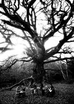 Tindersticks_Group_Agou_20-02-2012_GKDLVN7.jpg