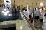 Atomtrussel? Irans præsident, Mahmoud Ahmadinejad (th.) inspicerede i sidste uge en reaktor i Teheran. 