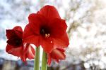 lol_ryge_25-02-2012_CGDMJ89.jpg