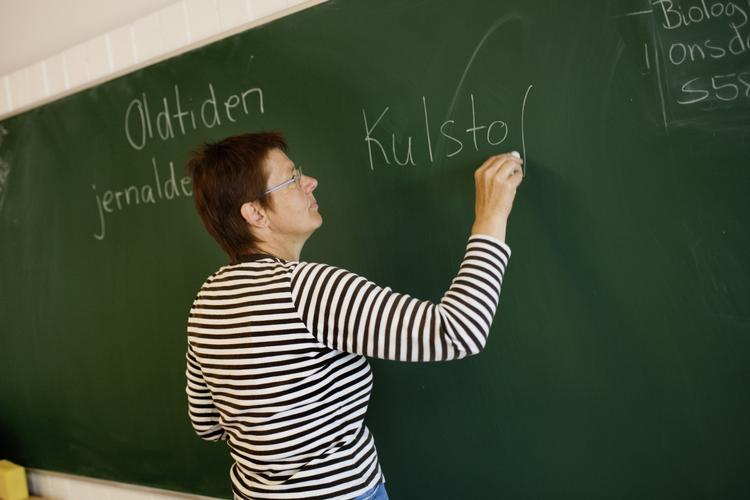 Oppefra. Skal politikerne på Christianborg diktere læseplanen i landets folkeskoler eller ej. Det spørgsmål skal der stemmes om på tirsdag. Her er det Eva Norford fra Strandgårdsskolen i Ishøj, der lærer fra sig. 