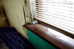 indeklima. Ser man bort fra kræft, viser forskning at fugt i boligen giver den samme grad af øget forekomst af luftvejsinfektioner og allergiske reaktioner som passiv rygning. 