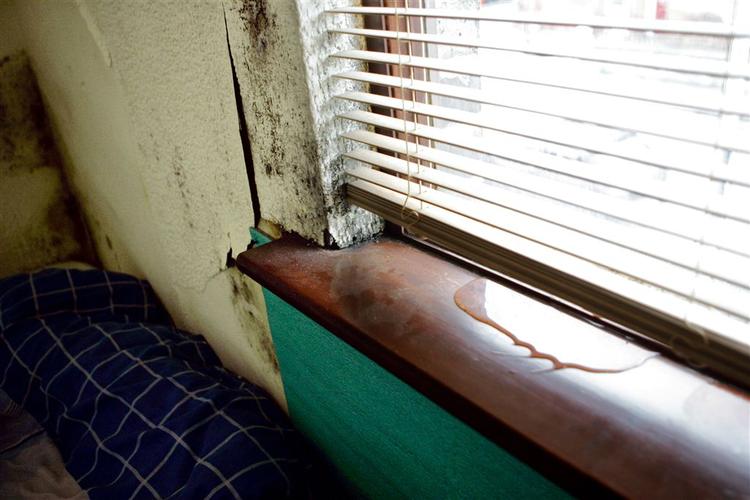 indeklima. Ser man bort fra kræft, viser forskning at fugt i boligen giver den samme grad af øget forekomst af luftvejsinfektioner og allergiske reaktioner som passiv rygning. 