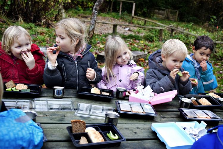 Pasning. Hver femte kommune har sat prisen på pasning i børnehaver ned. 