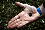 Sikkerhedsgodkendelse. En ung mand måtte opgive sin praktikplads, fordi otte gram hash fældede ham i PET's sikkerhedstjek. 