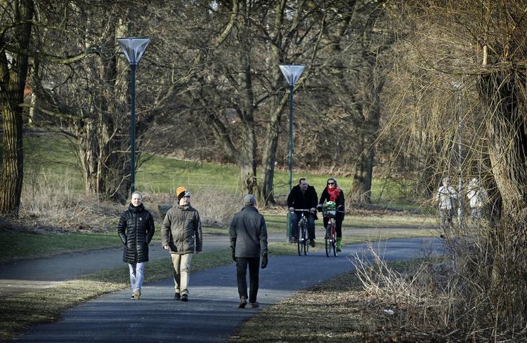 forårsfornemmelser. Foråret gjorde allerede sin entre i den sidste weekend i vintermåneden. Billedet er fra Utterslev Mose i går. 