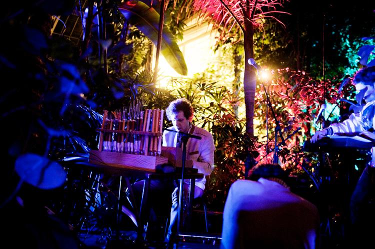 TROPEVISIT. Imens kakerlakkerne forlystede sig med koncertgængernes aflagte drinks, gav Frisk Frugt som en del af den københavnske Frost Festival en smuk koncert i Palmehuset i Botanisk Have. 