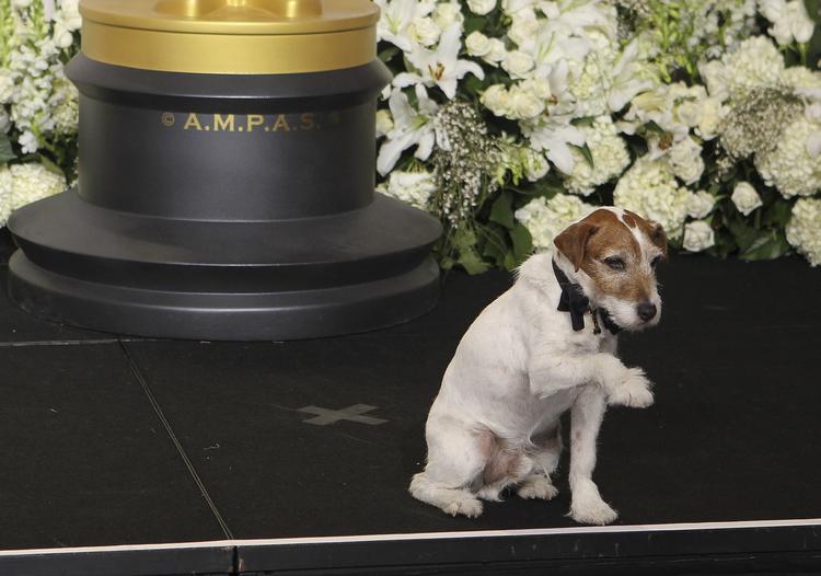 Hundekunstner. Den 10 år gamle hund Uggie spiller en afgørende rolle i 'The Artist'. I nat blev den hyldet ved Oscar-showet. 