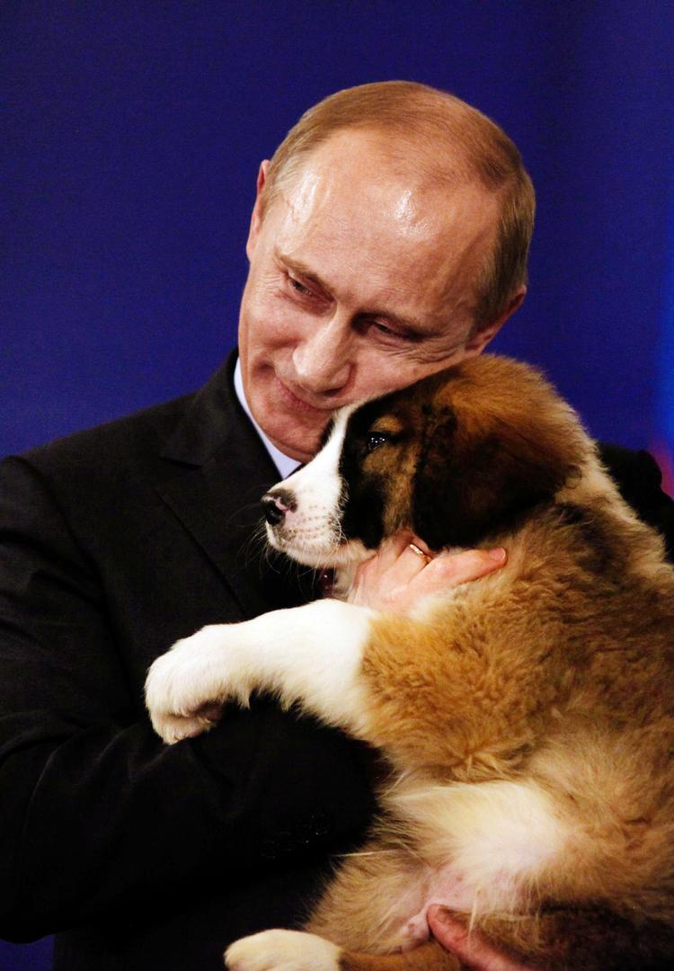 Landsfader. Det er formentlig slut med at opkalde en vodka efter Putin, med pigebands, der besynger hans mandighed, og med kalenderpiger, der smider tøjet i beundring. 