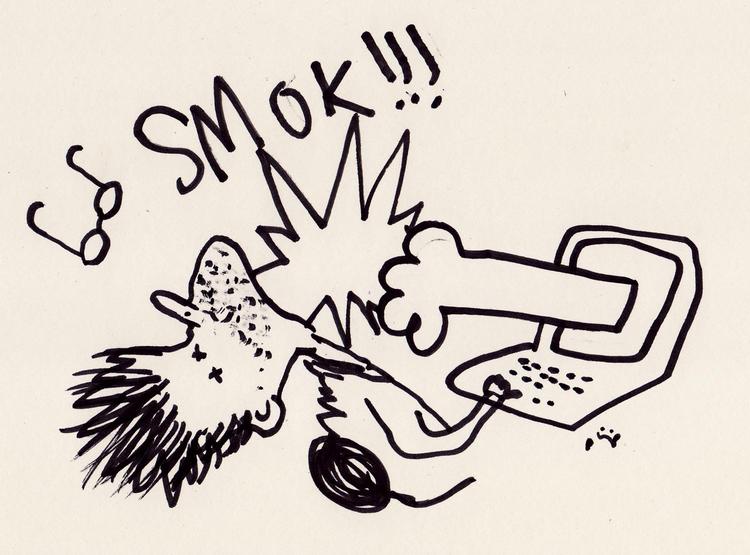 Ordkamp. De danske avisers netmedier har vidt forskellige tilgange til debatstoffet. Nogle steder stilles der krav om, at debattører skal afgive navn og adresse. Andre steder er ordet - og tonen - noget mere fri. 