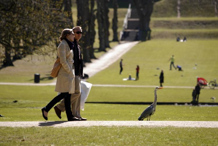 Forårsstemning. Frederiksberg Have og andre parker kunne være et oplagt besøgsmål den kommende uge. 