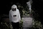 dunkel. Rangleklods' elektroniske debutalbum 'Beekeeper' har noget af samme skandinaviske kulde som svenske The Knife. 