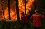 Skovbrand. Portugal er et af de lande, som i årevis har kæmpet med omfattende skovbrande. Det har kostet mange menneskeliv og har ødelagt tusindvis af hektar. 