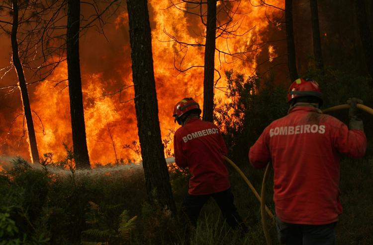 Skovbrand. Portugal er et af de lande, som i årevis har kæmpet med omfattende skovbrande. Det har kostet mange menneskeliv og har ødelagt tusindvis af hektar. 