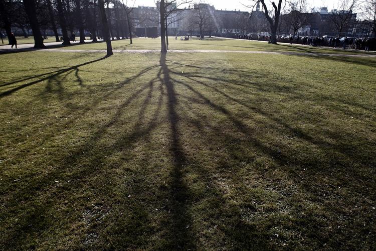 soslkin. Hele ugen har foråret luret. I weekenden kommer der mere blus på solen. (arkiv) 