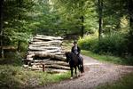 Nationalpark? Ridetur i Gribskov. Forligskredsen bag nationalparken Kongernes Nordsjælland indleder nu en dialog med lodsejerne for at se, om de kan blive enige. 