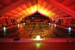 IMG_7441_23-03-2012_T4DSCP2.jpg
