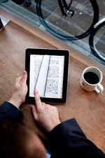 succes. Flere låner bøger på deres Kindle eller iPad, og forlagene er betænkelige ved succesen, som de mener kan udhule markedet  for e-bøger. 