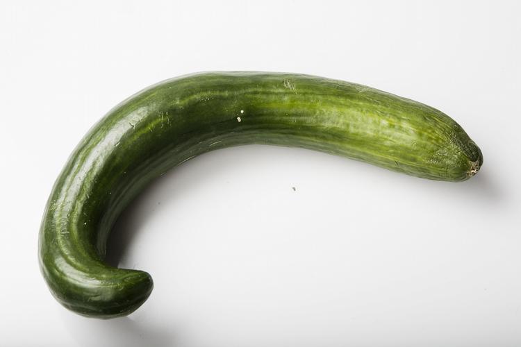 Fortællingen. »Fortællingen om EU - det fælles europæiske projekt - bevæger sig i bølger, og i de perioder, hvor samarbejdet er mest under pres, og hvor euroskepsissen derfor har mest medvind - ja, da dukker de krumme agurker og de latinske fiskenavne op som velkomne sindbilleder på det kollektive vanvid«, skriver Morten Løkkegaard. 