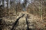 Fængslet. De to sigtede for drabet på en 22-årig mekaniker fra Stevns har fået deres varetægtsfængsling forlænget i yderligere fire uger. 