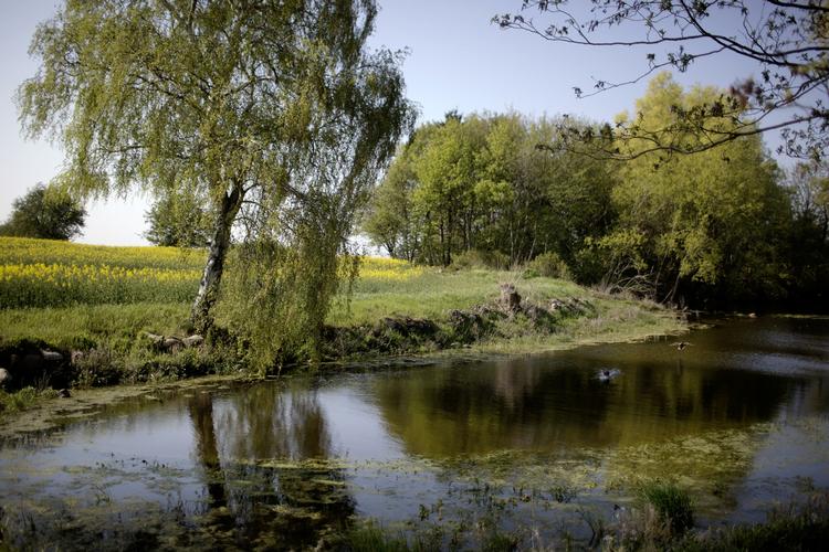 Loven, der træder i kræft 1. september, fratager landmændene retten til at dyrke jorden 10 meter på hver side af 25.000 kilometer vandløb. 