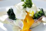 Egg benedicts