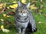 Kat_JensDresling_web