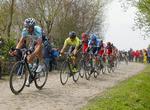 7.-PLADS. I Tom Boonens baghjul opnåede Team Saxe Bank en syvendeplads i Paris-Roubaix. 