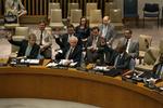 MISSION. Her stemmer Sikkerhedsrådets medlemmer for beslutningen om at sende våbenhvileobservatører til Syrien. 