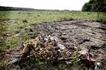 Dobbeltdrab. Sønnen til Heidi Nielsen, som blev dræbt i Tusindårsskoven i Odense sammen med sin mand, Bjarne Johansen, cyklede rundt og ledte efter parret. 