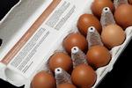 GRÆNSEVÆRDI. Den acceptable grænse for salmonella i danske æg er under to procent. (Arkivfoto) 