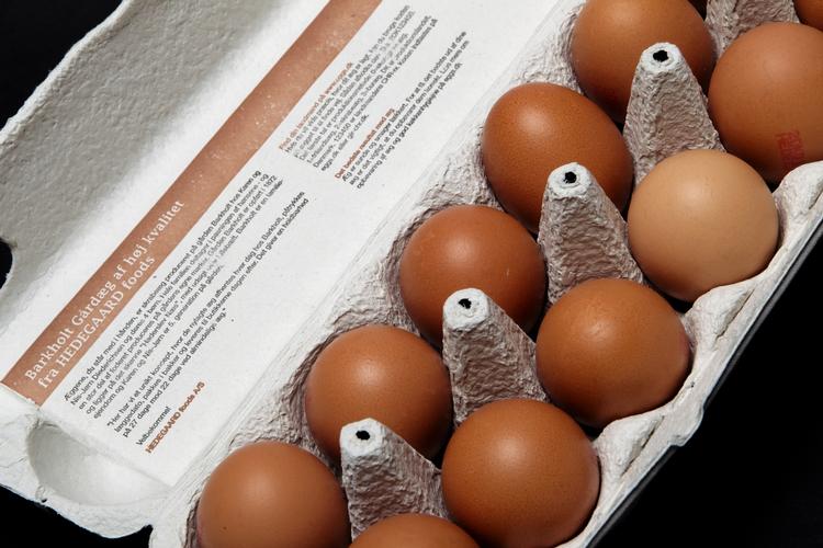 GRÆNSEVÆRDI. Den acceptable grænse for salmonella i danske æg er under to procent. (Arkivfoto) 