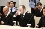 Den norske massemorder Anders Behring Breivik tog et år fri for at spille World of Warcraft, mens han boede hos sin mor. 