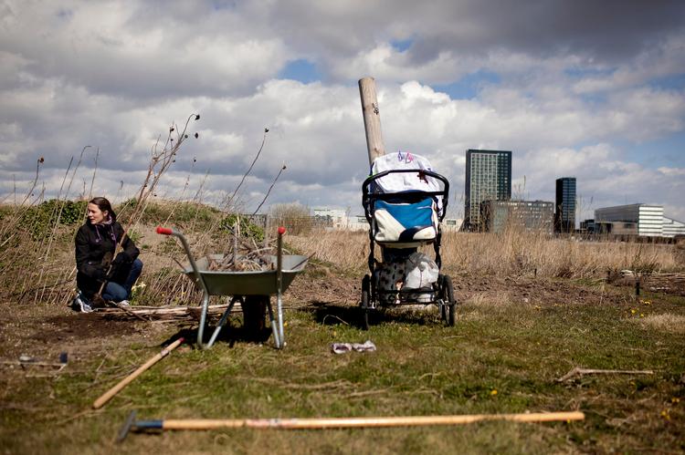 Selvforsynet. Med forårets komme har bybønderne i Ørestad Urbane Haver travlt med at så, luge og lægge i de omkring 60 jordlodder, så de er forsynet med hjemmedyrkede, økologiske grøntsager hele sæsonen. Et lod koster 200 kroner i leje om året. 