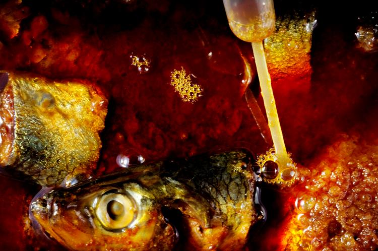 NORSDISK. En fiskesovs lavet på makrelhoveder. En nordisk "soja"-sovs lavet på gule ærter. En vin lavet på boghvede. Et tørret krydderi lavet på agurk! Det er nogen af de ting der netop nu udvikles på Nordic Food Lab. 