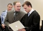 Den 33-årige massemorder Anders Behring Breivik kan ikke genkende billedet af sig selv i den første psykiaterrapport, som erklærede ham utilregnelig. 