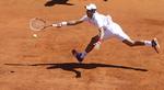 Djokovic. Serbiske fans må undvære deres ikon i Beograds ATP-turnering. 