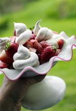 Rabarber-jordbær pavlova