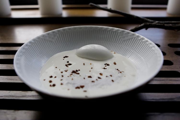 Mælskesyre. Det islandske mælkeprodukt skyr kan gære, hvis det opbevares forkert. Her ses dog en lidt mere veltilberedt version - nemlig restaurant Nomas Øllebrød med skyrsorbet. 
