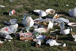 Oprydning. Affald i Fælledparken efter 1. maj-festlighederne. 