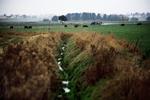 NATURTILSTAND. Eksperter er bekymret for overvågningen af det danske miljø. 