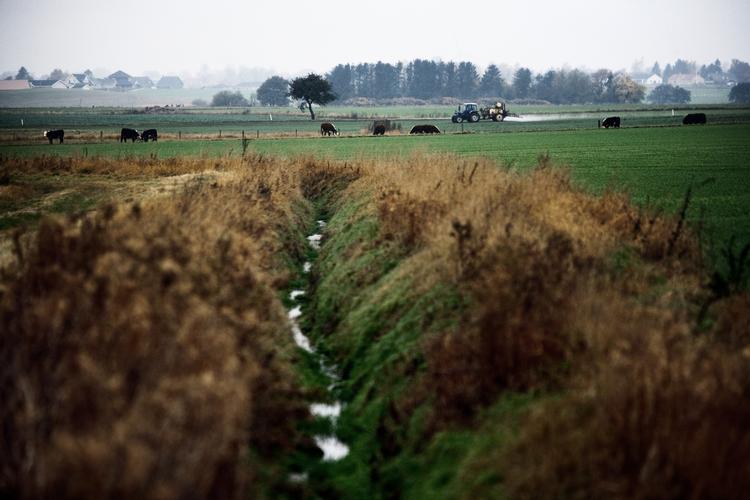NATURTILSTAND. Eksperter er bekymret for overvågningen af det danske miljø. 