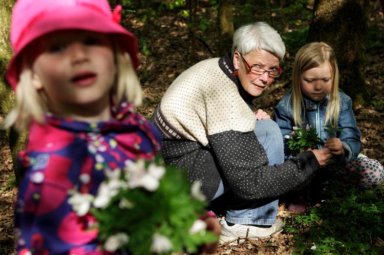 Skovbunden. Marianne Hansen er i skoven med ungerne fra daginstitutionen Børnegården uden for Kolding. Hun plukker anemoner med Clara (tv.) og Nora. Det kunne pædagogen ikke, før hun blev fedmeopereret. 