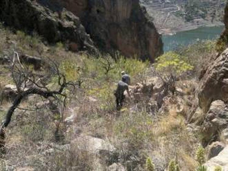 EFTERSØGNING. Spansk politi har offentliggjort dette billede af to redningsfolk, som begge deltager i eftersøgningen af en dansk mand i et bjergrigt område af Gran Canaria. 